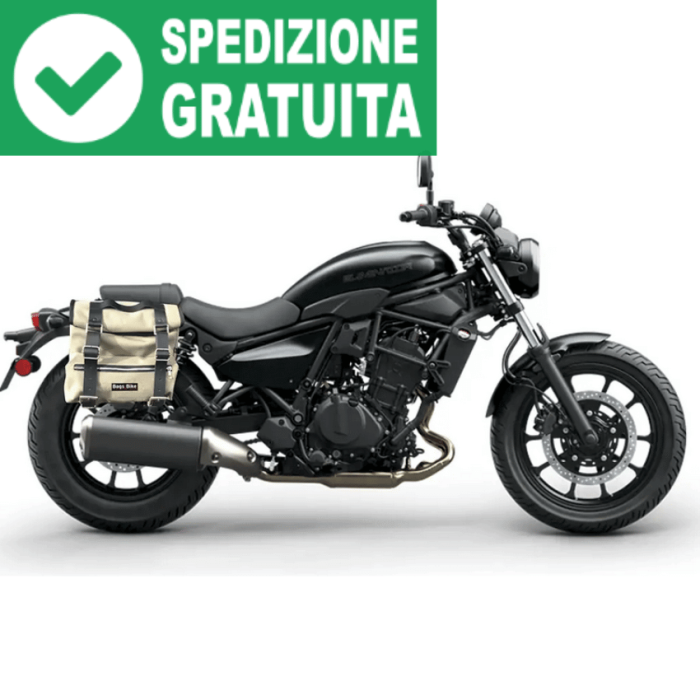 Shad z900rs outlet