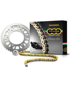 Regina 95RE04101-REG525ZRP kit Trasmissione per Scarm 411 e Himalayan 410.