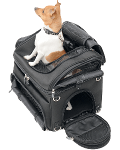 Saddlemen EX000627 trasportino animali per moto