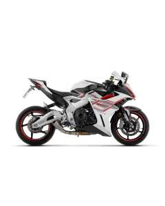 Terminale di Scarico Racing Arrow per Zontes ZT703-RR