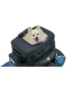 Kuryakyn KUR5288 borsa moto per cani o animali di piccola taglia