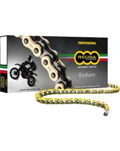 Regina catena Enduro 520 ZSE.