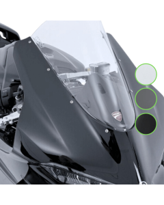 WRS DU034 cupolino Race per Panigale V4 dal 2025.