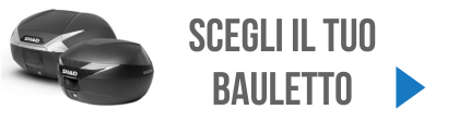 Scegli il tuo bauletto Shad SH.